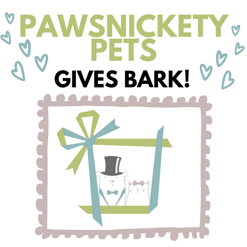Pawsnickety Pets gives BARK!