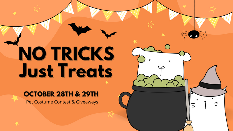 No Tricks, Just Treats at Pawsnickety Pets