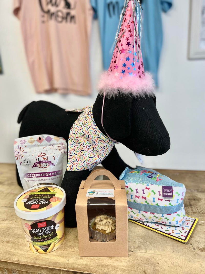 5 Things Your Dog Needs To Have the Best Birthday or Gotcha Day Ever