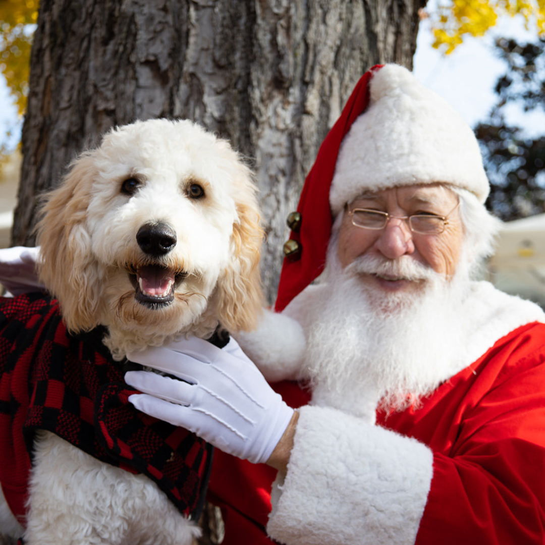 Santa Photos at Ghent Farmers Market