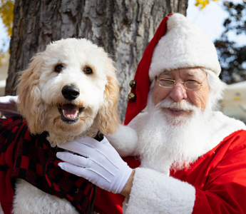 Santa Photos at Ghent Farmers Market