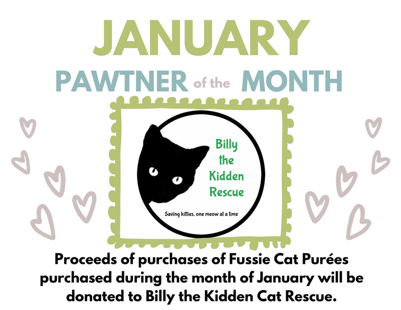 January PAWrtner of the Month