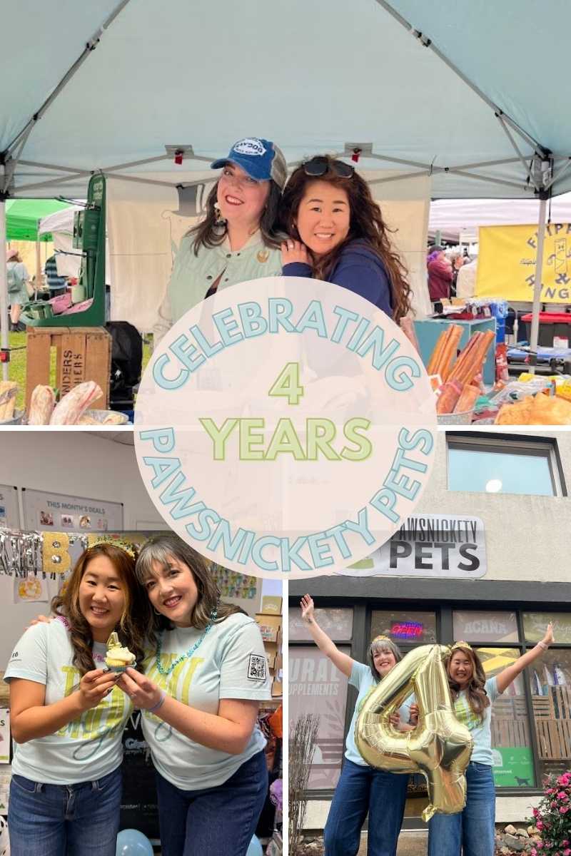 Recap of our Pawsnickety Pets’ 4th Anniversary Pawty Celebration & Small Business Saturday!