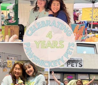 Recap of our Pawsnickety Pets’ 4th Anniversary Pawty Celebration & Small Business Saturday!