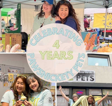 Recap of our Pawsnickety Pets’ 4th Anniversary Pawty Celebration & Small Business Saturday!