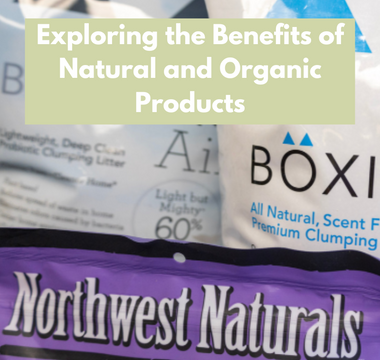 Exploring the Benefits of Natural and Organic Pet Products