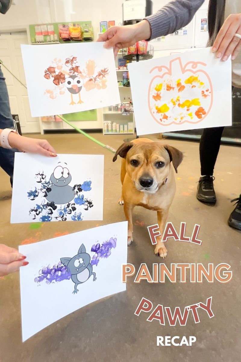 Recap of Our Fall Painting Pawty: A Paws-on Creative Experience!