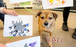 Recap of Our Fall Painting Pawty: A Paws-on Creative Experience!