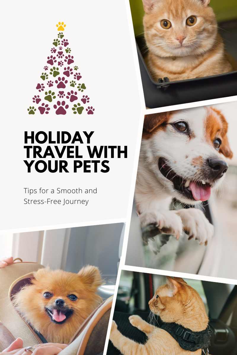 Holiday Travel with Your Pets: Tips for a Smooth and Stress-Free Journey