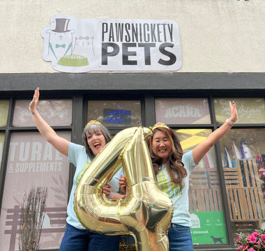 4 Years of Pawsnickety Pets: Celebrating Growth, Community, and Pet Care Excellence