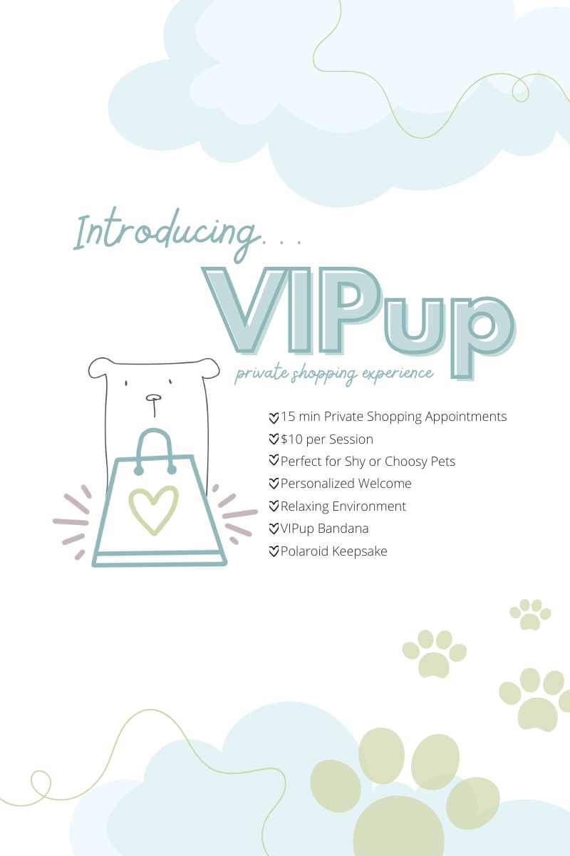 VIPup Private Shopping Experience: A Luxurious Shopping Day for You and Your Pup