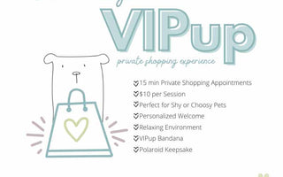 VIPup Private Shopping Experience: A Luxurious Shopping Day for You and Your Pup