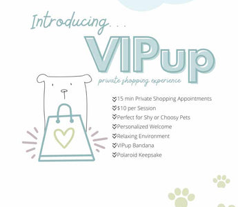 VIPup Private Shopping Experience: A Luxurious Shopping Day for You and Your Pup