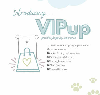 VIPup Private Shopping Experience: A Luxurious Shopping Day for You and Your Pup