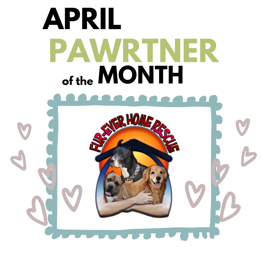 Thank You for Supporting Our April PAWrtner of the Month