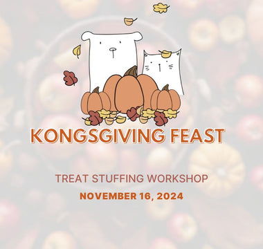 Join Us for a Kongsgiving Feast: A Fall Kong-Stuffing Workshop!