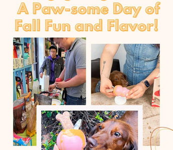 Kongsgiving Feast Recap: A Paw-some Day of Fall Fun and Flavor!