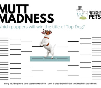 Announcing the Mutt Madness Contest