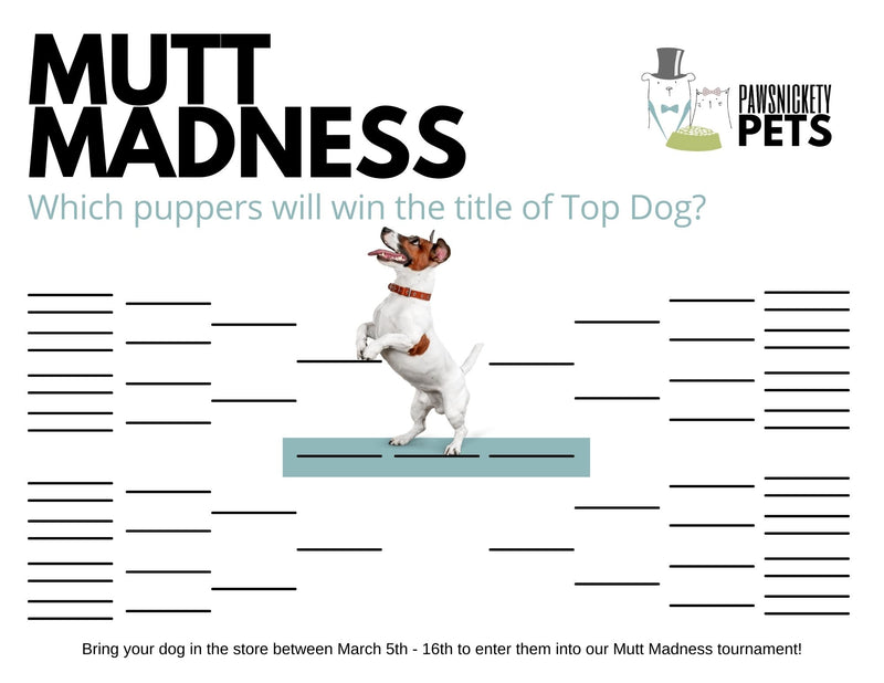 Announcing the Mutt Madness Contest