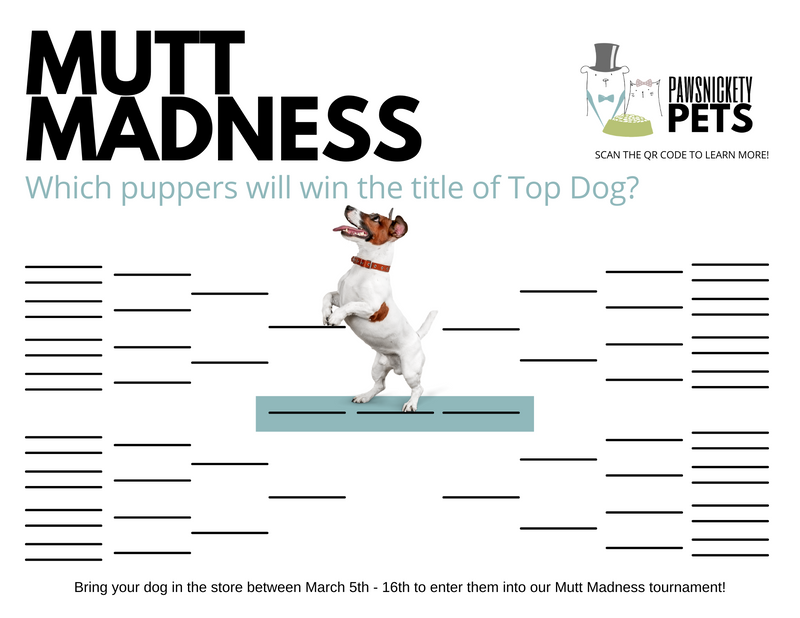 Mutt Madness Round 1 Voting is LIVE
