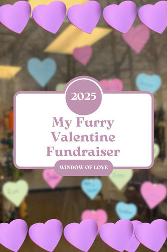 My Furry Valentine Fundraiser: Spread the Love and Support Local Rescues!