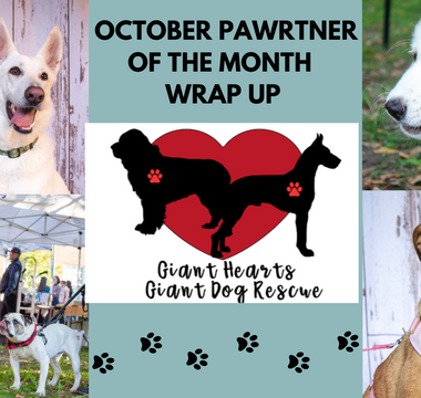 October PAWrtner of the Month Wrap-Up