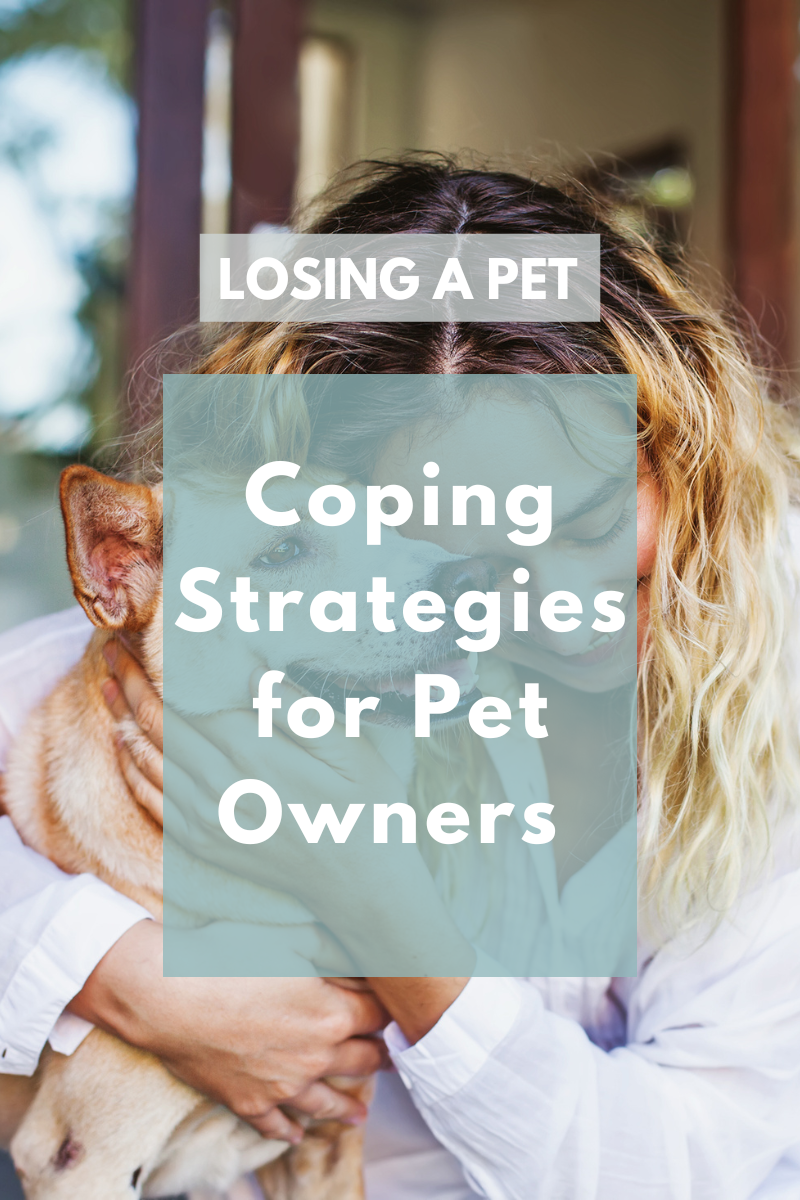 The Emotional Toll of Losing a Pet: Coping Strategies for Pet Owners