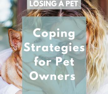 The Emotional Toll of Losing a Pet: Coping Strategies for Pet Owners