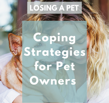 The Emotional Toll of Losing a Pet: Coping Strategies for Pet Owners