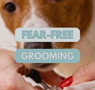 Fear-Free Grooming: Techniques for Keeping Your Pet Calm During Nail Trims