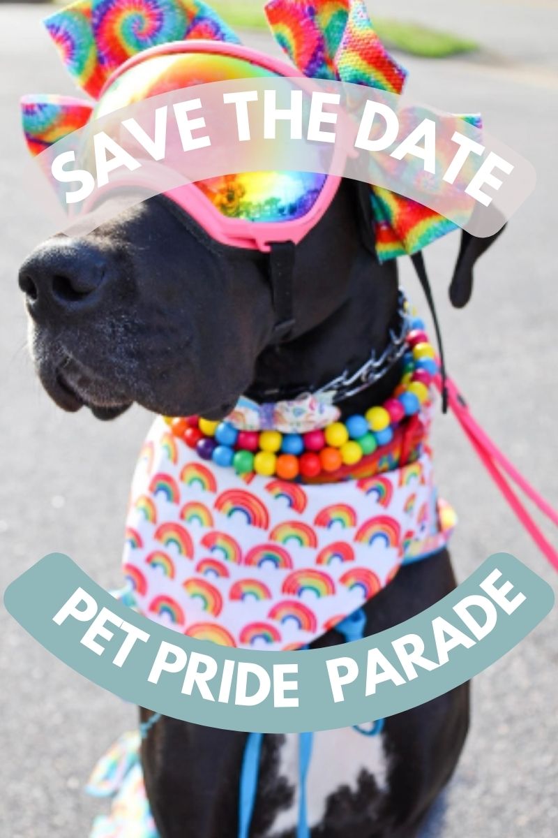 🌈🐾 Save the Date: Annual Pet Pride Parade & Block Pawty on June 9th, 2024! 🐾🌈