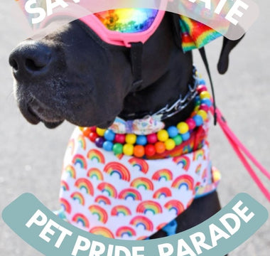 🌈🐾 Save the Date: Annual Pet Pride Parade & Block Pawty on June 9th, 2024! 🐾🌈