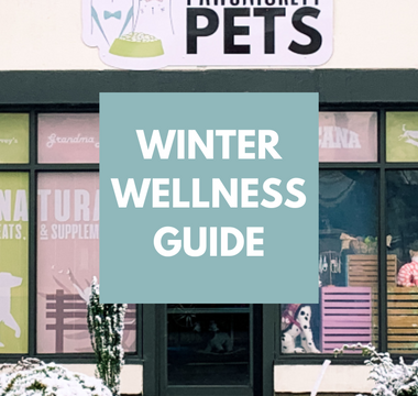 Winter Wellness Guide: Strengthening Your Pet's Immunity