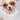 Planning a Spa Day for Your Pet: Pamper Your Pup with These Relaxing Ideas
