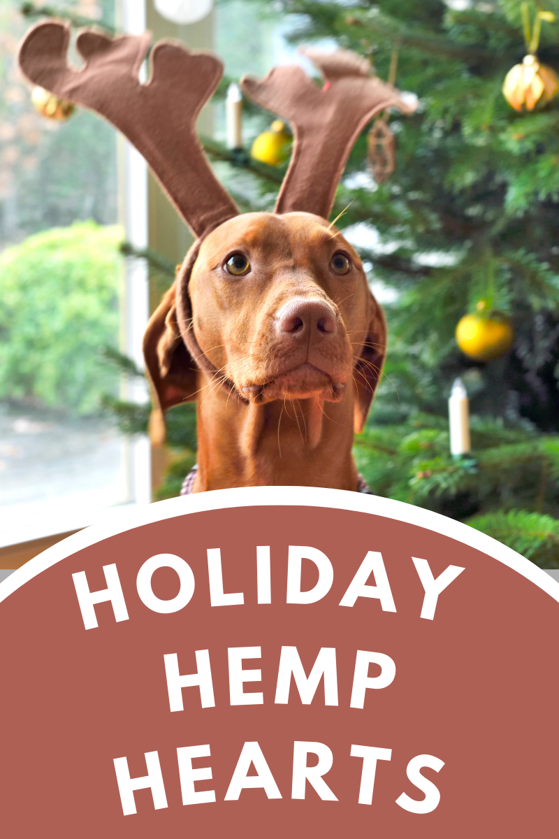 Holiday Hemp Hearts Recipe for Dogs