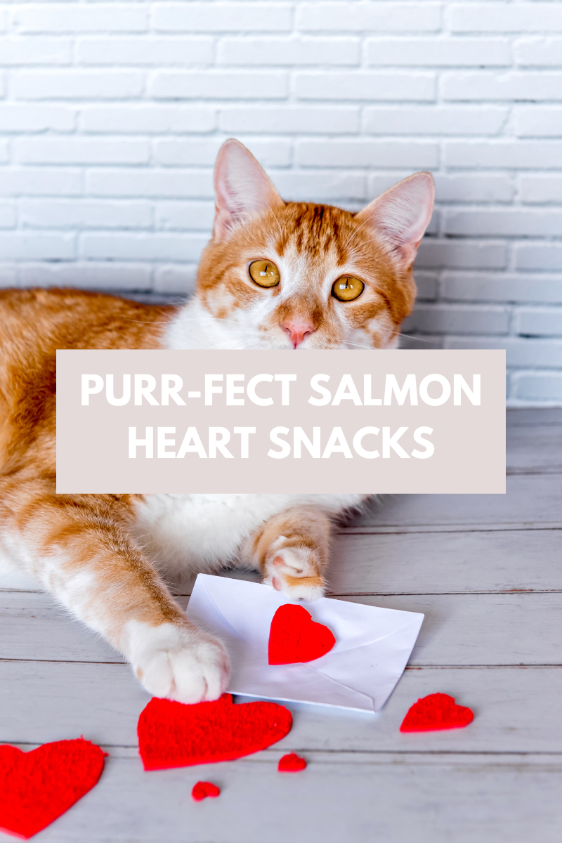 Purr-fect Salmon Heart Snacks for Your Feline Friend