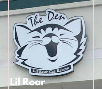 Lil Roar Cat Rescue Den Grand Opening Recap