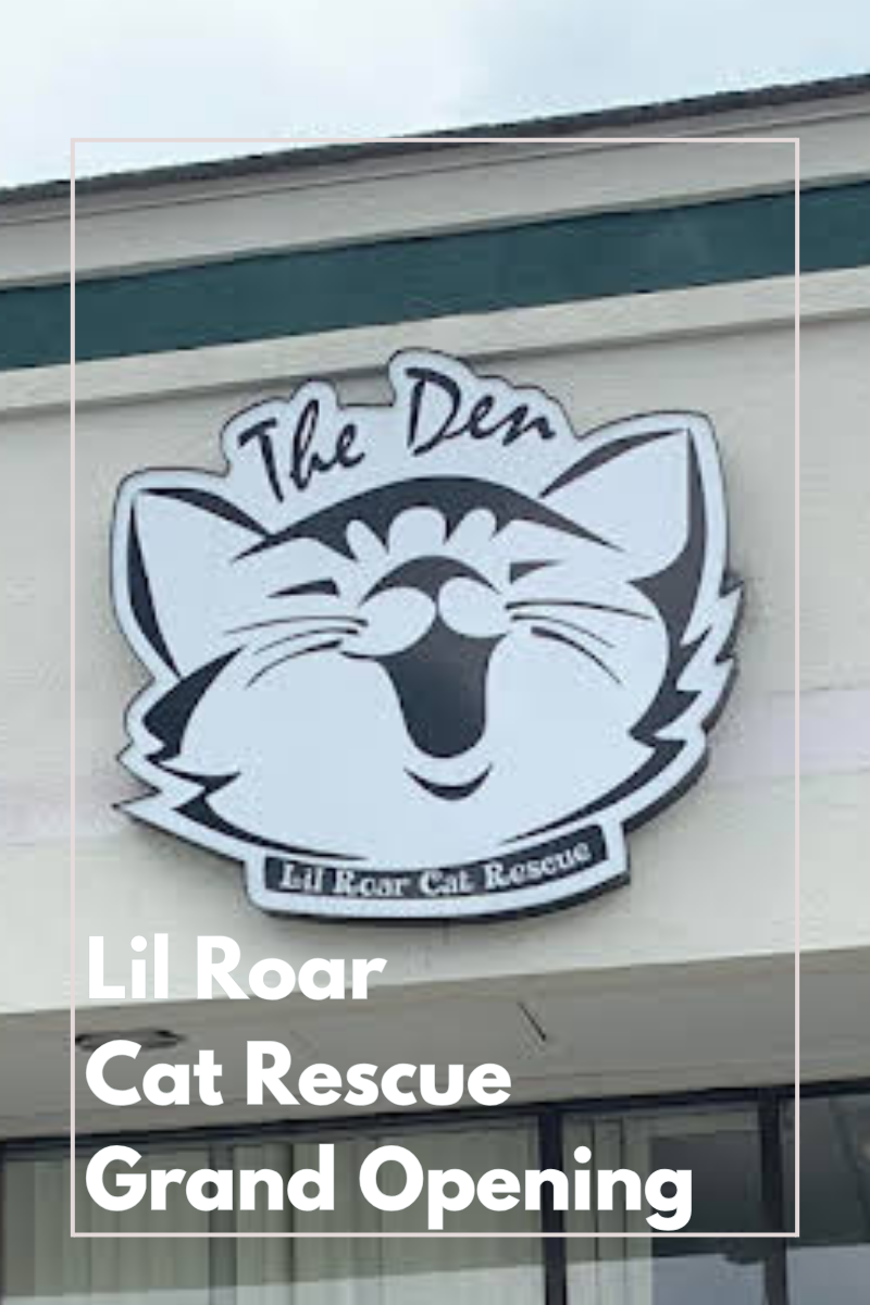 Lil Roar Cat Rescue Den Grand Opening Recap
