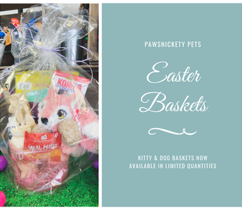 Celebrate Easter with Your Pets at Pawsnickety Pets