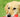Pet First Aid 101: Must-Have Supplies and Basic Emergency Care