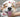 Pet Grooming Tips and Tricks: From Bath Time to Nail Trimming