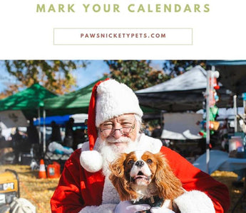 Santa Photos Are Back – Mark Your Calendars for Pawsnickety Pets’ Annual Holiday Event!