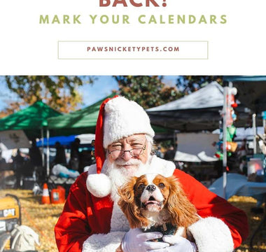 Santa Photos Are Back – Mark Your Calendars for Pawsnickety Pets’ Annual Holiday Event!