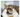 Seasonal Allergies in Pets: How to Manage Allergies During Spring