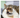 Seasonal Allergies in Pets: How to Manage Allergies During Spring
