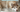 Summer Shedding: Managing Your Pet's Hair During the Warmer Months