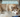 Summer Shedding: Managing Your Pet's Hair During the Warmer Months