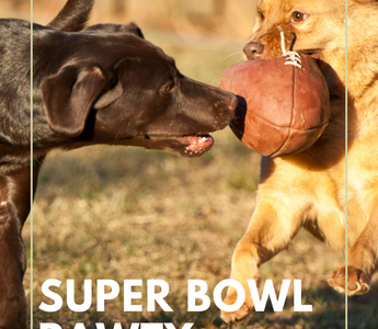 Bark the Bowl: Super Bowl Recipes for Your Dog's Game Day