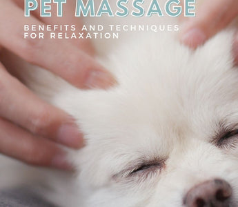 The Art of Pet Massage: Benefits and Techniques for Relaxation