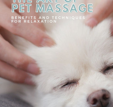 The Art of Pet Massage: Benefits and Techniques for Relaxation